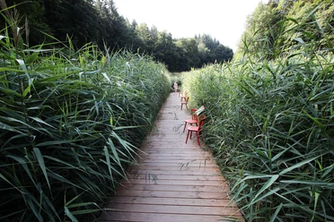 Begehbares Moor.JPG