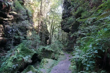 Uttewalder Grund