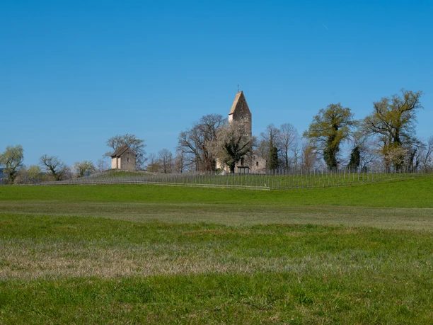 Insel Ufnau mit Kirche St. Peter und Kapelle St. Martin