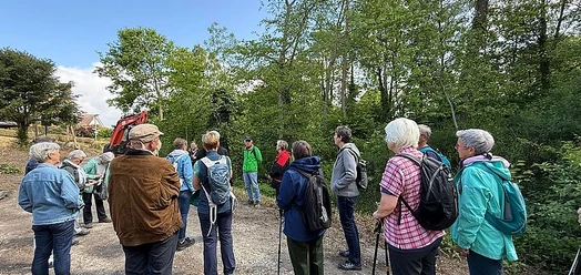 Wandergruppe auf einem Waldweg bei Währentrup mit Wanderstöcken und Rucksäcken