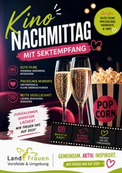 Bild-Kinonachmittag.png