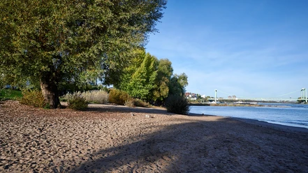 Rheinufer in Rodenkirchen Sandstrand am Rheinufer in Rodenkirchen mit Bäumen, blauem Wasser und Rheinbrücke