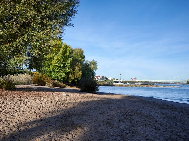 The banks of the Rhine in Rodenkirchen Sandy beach on the banks of the Rhine in Rodenkirchen, with trees, blue water, and the Rhine Bridge