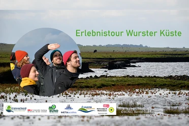 Erlebnistour an der WNK.jpg Erlebnistour Wurster Küste: Gruppe bei Naturführung vor Salzwiesen und Wasser.