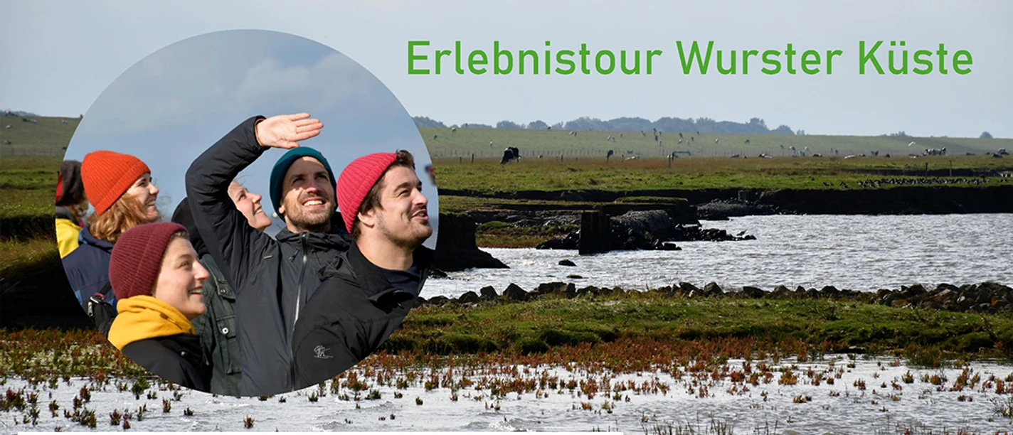 Erlebnistour an der WNK.jpg Erlebnistour Wurster Küste: Gruppe bei Naturführung vor Salzwiesen und Wasser.