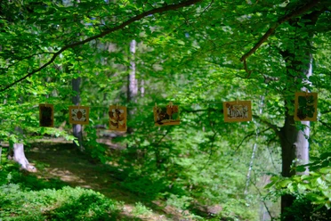 farnfunken - Bildergalerie farnfunken - Bildergalerie