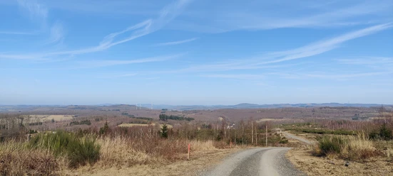 Ausblick Gernsdorf