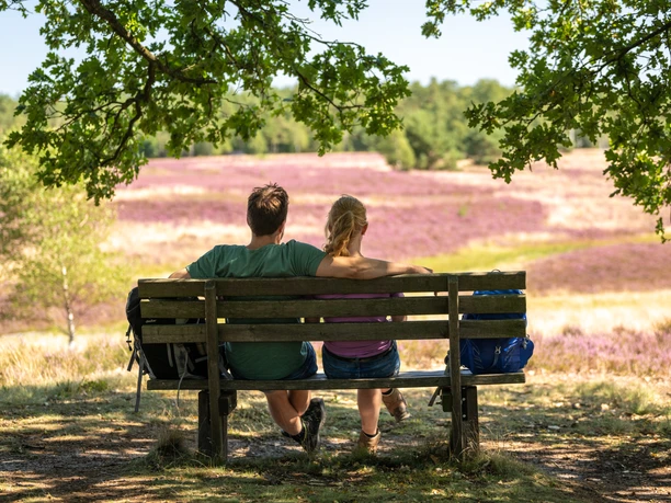 Lüneburger Heide-2022-0224_Dominik_Ketz.jpg