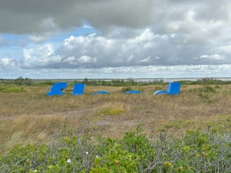 © Lynn Scotti I Sylt Marketing_Watermark (flood) by Richard Kelly Tipping.JPEG