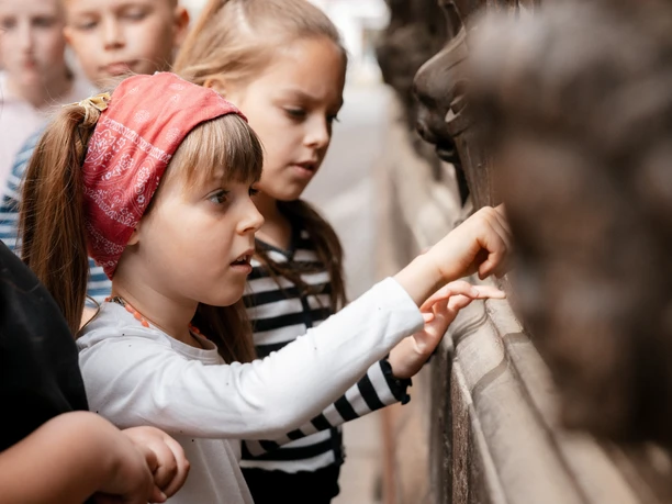 Kinder ertasten bei einer Stadtführung die geschnitzte Fassade eines Fachwerkhauses.