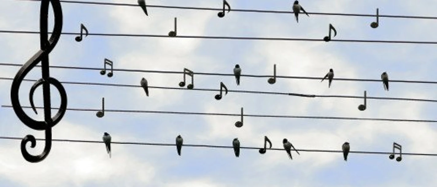 Konzert