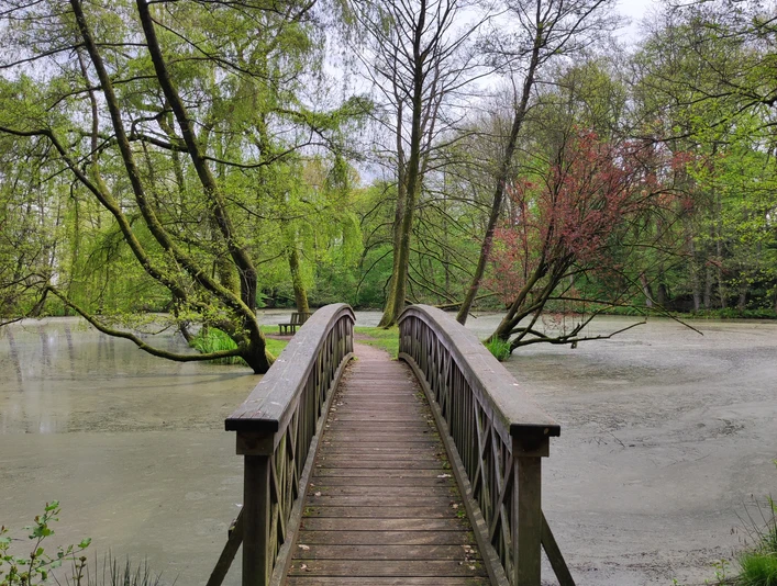 Schloss Agathenburg_Park.jpg