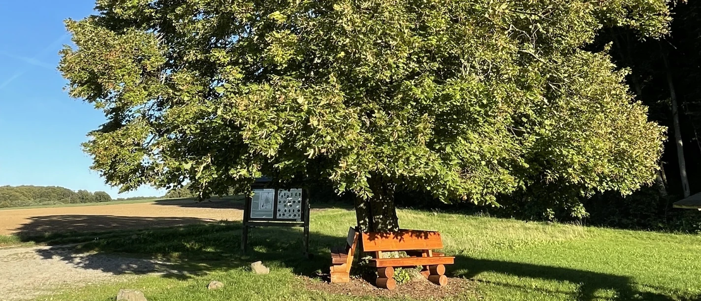 Wehrshausen Wanderparkplatz