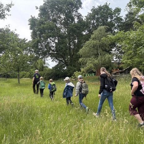 Junior Ranger auf Erkundungstour im Grünen..JPEG