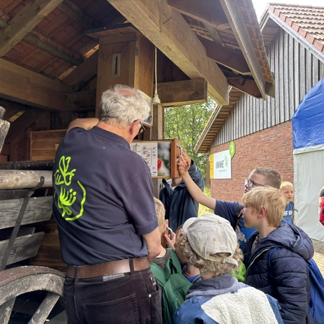Hermann Hüsers erklärt den Junior Rangern die faszinierende Welt der Bienen anhand von Infotafeln.