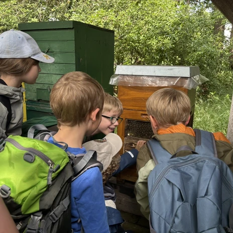 Die Kinder betrachten den Aufbau eines Bienenstocks aus nächster Nähe..JPEG
