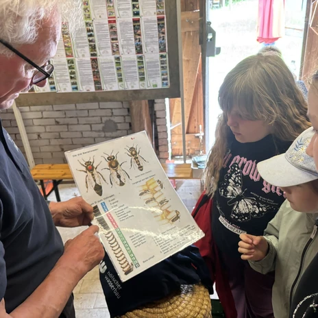 Mithilfe von Schaubildern erklärt Hermann Hüsers die Anatomie der Bienen..JPEG
