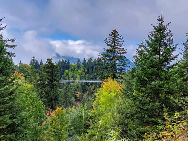Blick vom Brückenrundweg aus zum Skywalk