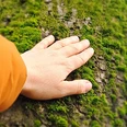 Nature Shot Stade