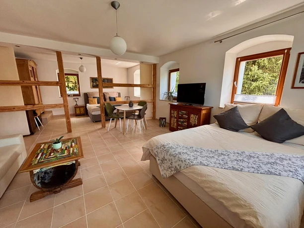 Großes Wohnschlafzimmer