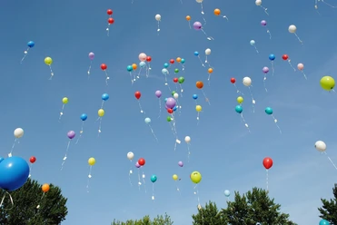 hilkefromm-balloons-1012541_1920