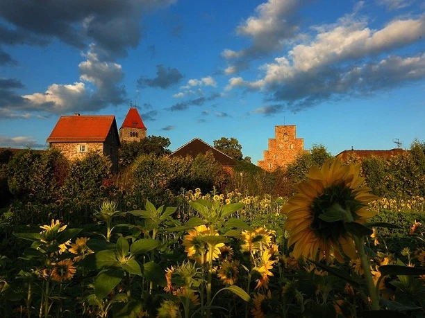 Kloster-Breitenau Sommerabendsonne