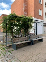 Grüne Oase Untere Schrangenstraße