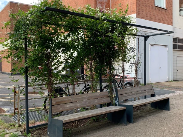 Grüne Oase Untere Schrangenstraße