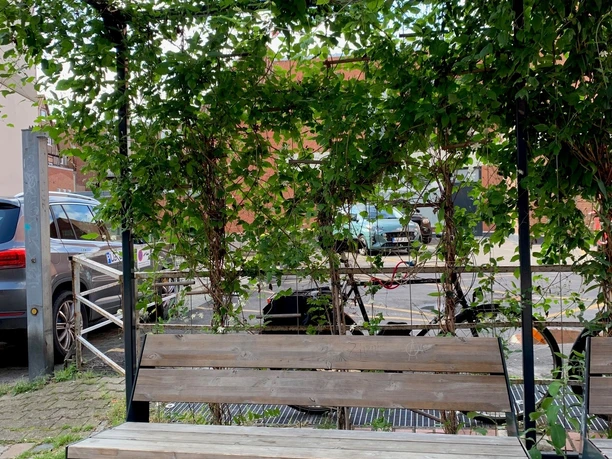 Grüne Oase Untere Schrangenstraße