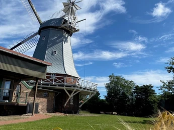 Windmühle Anna Maria Mulsum.jpg