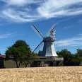 Windmühle Anna Maria Mulsum 2.jpg