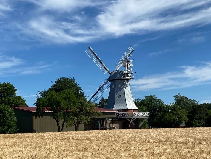 Windmühle Anna Maria Mulsum 2.jpg