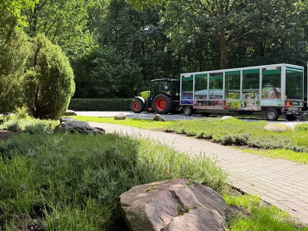 bispinger-schnucken-express-1.jpg Schnucken-Express mit Traktor vor dem Center Parcs Bispinger Heide im Grünen.