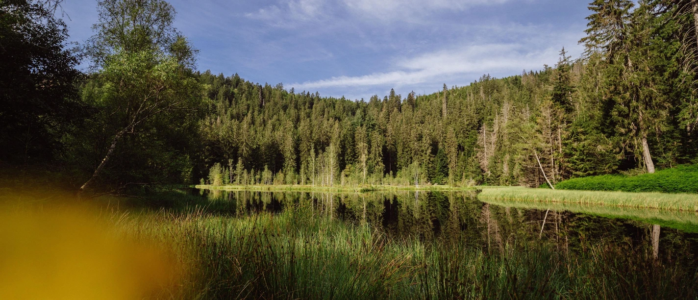 Buhlbachsee