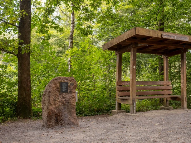 Königsforst Schutzhütte Monte Troodelöh und Gedenkstein im grünen Königsforst