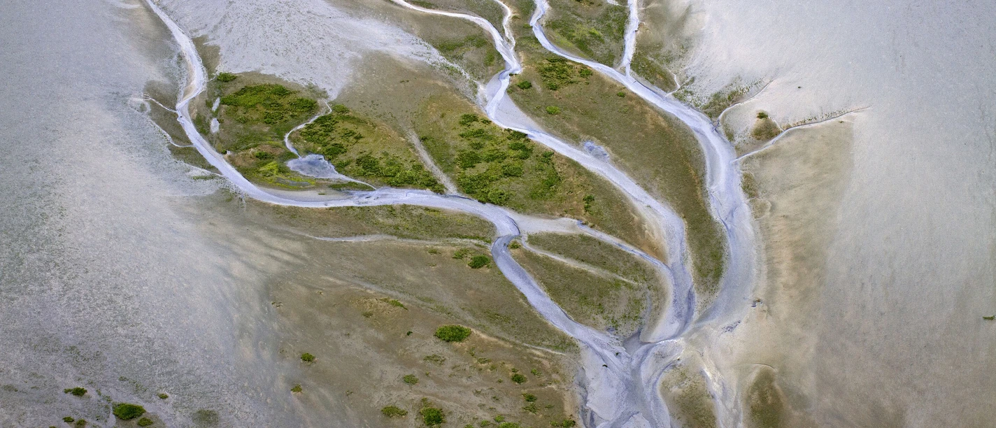 Priel im Nationalpark Niedersächsisches Wattenmeer