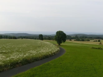 Oelsner Höhe