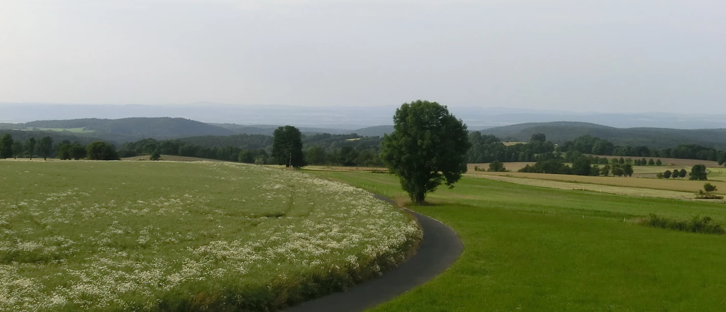 Oelsner Höhe
