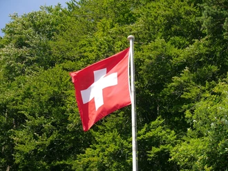 1 August Flagge Wald