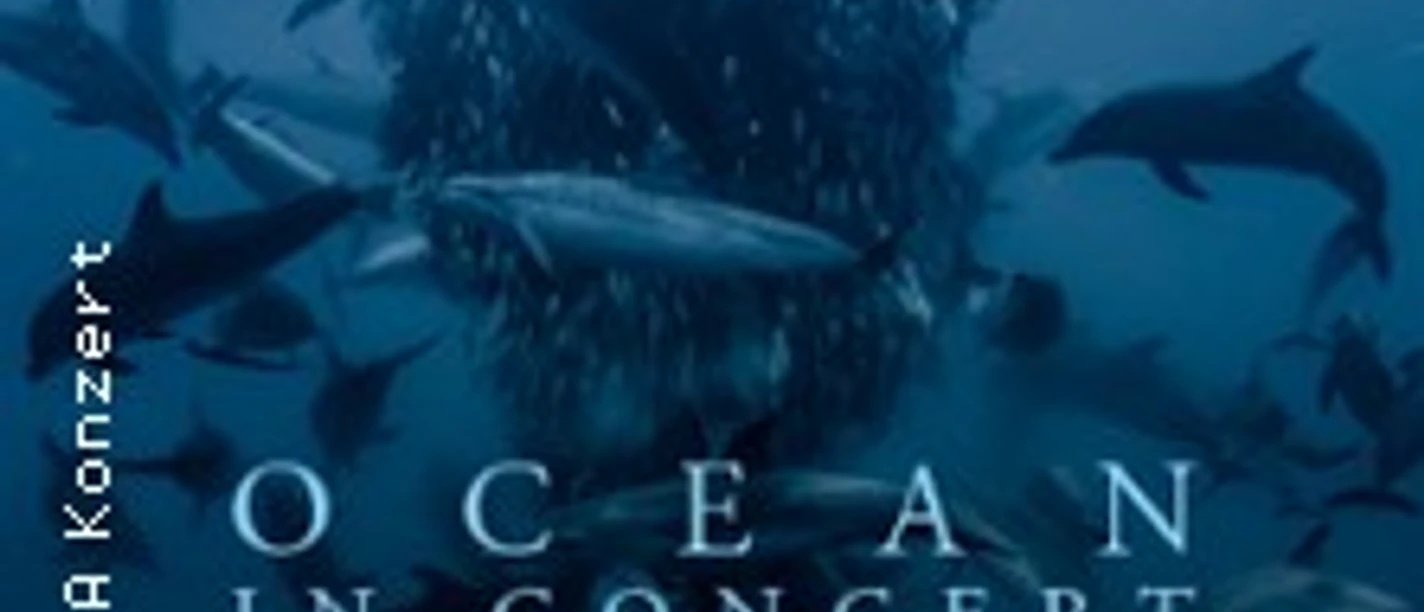Unterwasser-Motiv mit Fischschwarm und Delfinen zum Konzert „Ocean in Concert“