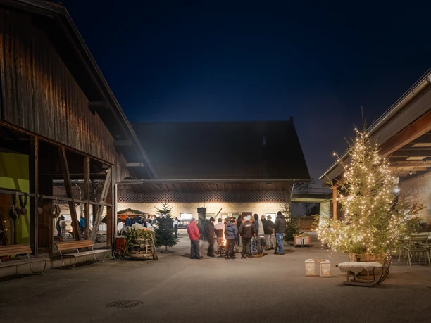 Christmas Magic at the Burgrain Organic Farm