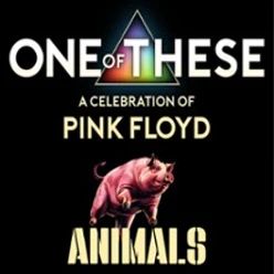 Schwarzes Konzertplakat zu Pink Floyd Animals mit rosa Schwein und Lichtprisma
