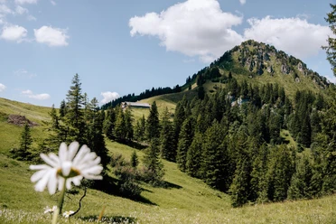 Geologischer Wanderweg Roggenstock