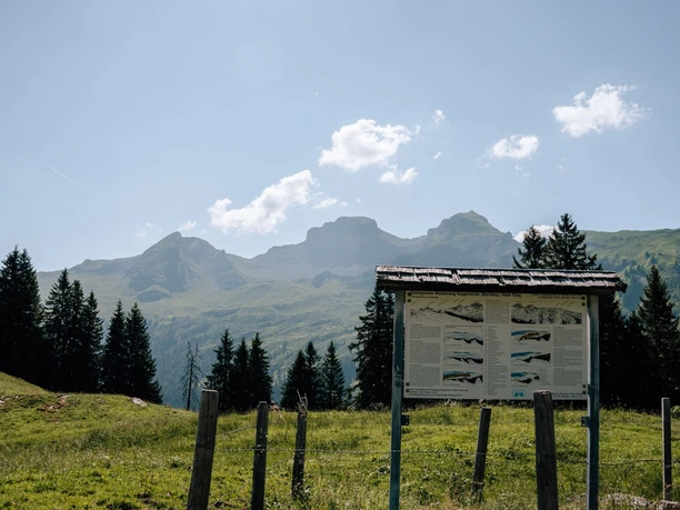 Geologischer Wanderweg Roggenstock