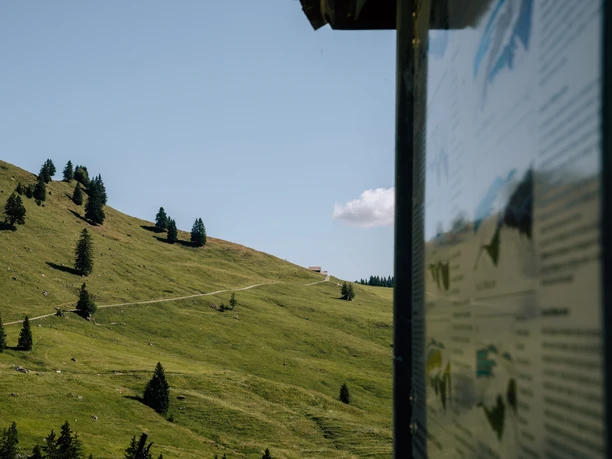 Geologischer Wanderweg Roggenstock