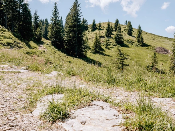 Geologischer Wanderweg Roggenstock