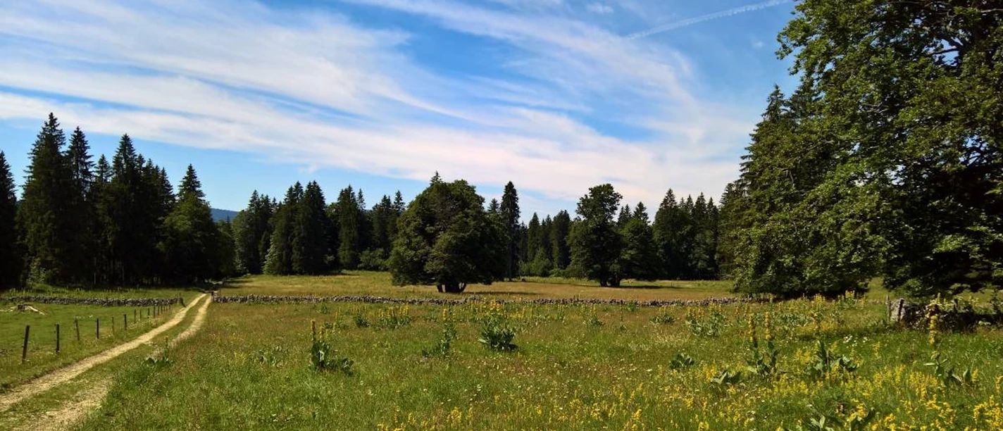Val de Travers