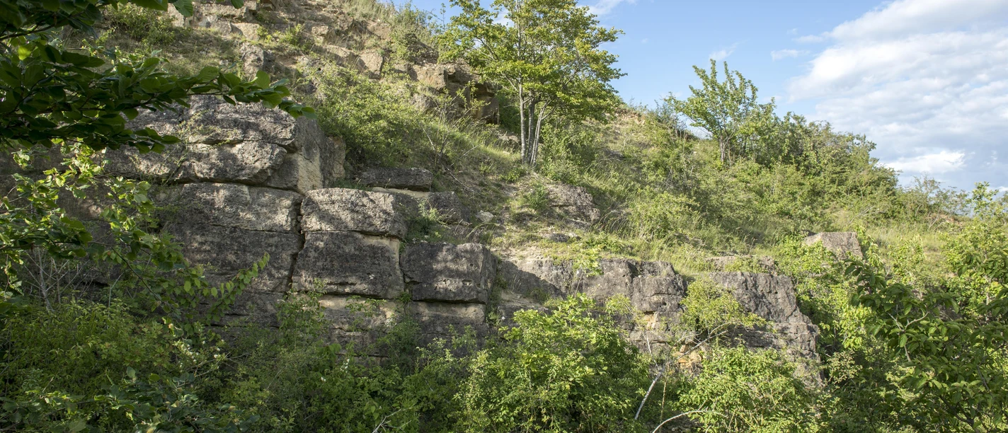 Steinbuch Mechernich-Berg