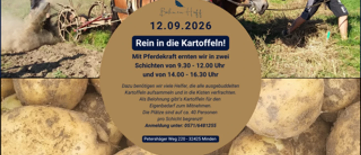 Kartoffelroden - Böhnen Hoff