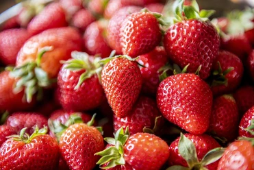 25.07.26 Marktfrühstück
